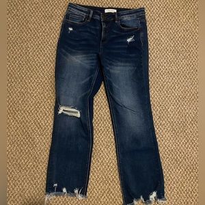 Flying Money Frayed Jeans